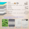L011-奧拉床墊|床墊|獨立筒|皇品傢俱工作坊